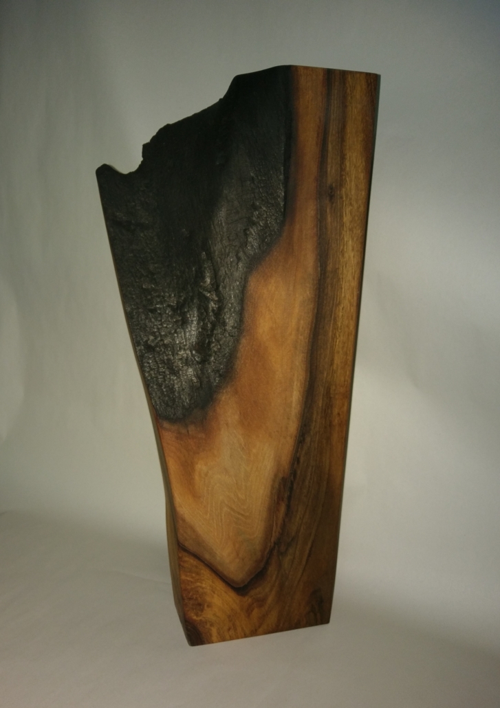 nussbaum mit brand-wunde